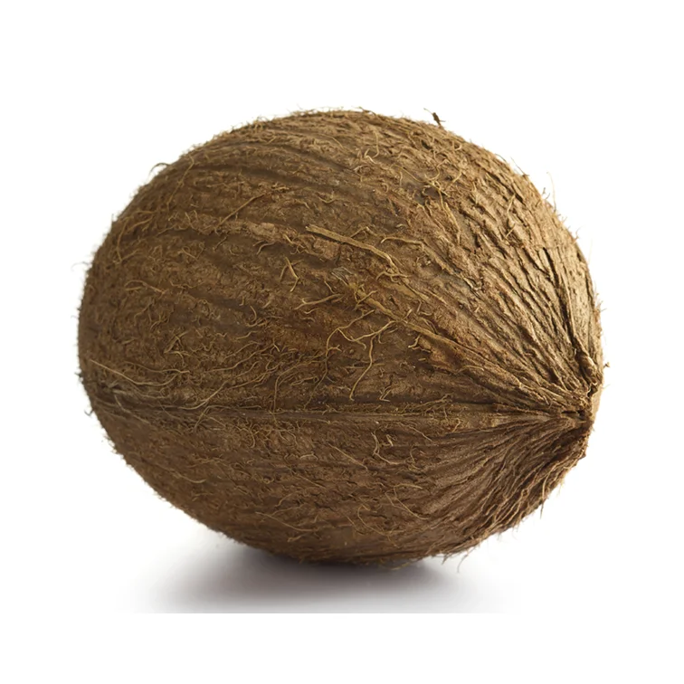 coconut for sale \Fresh Premium Coconuts in Cheapest Rate Fresh Mature Coconut Crop Sweet