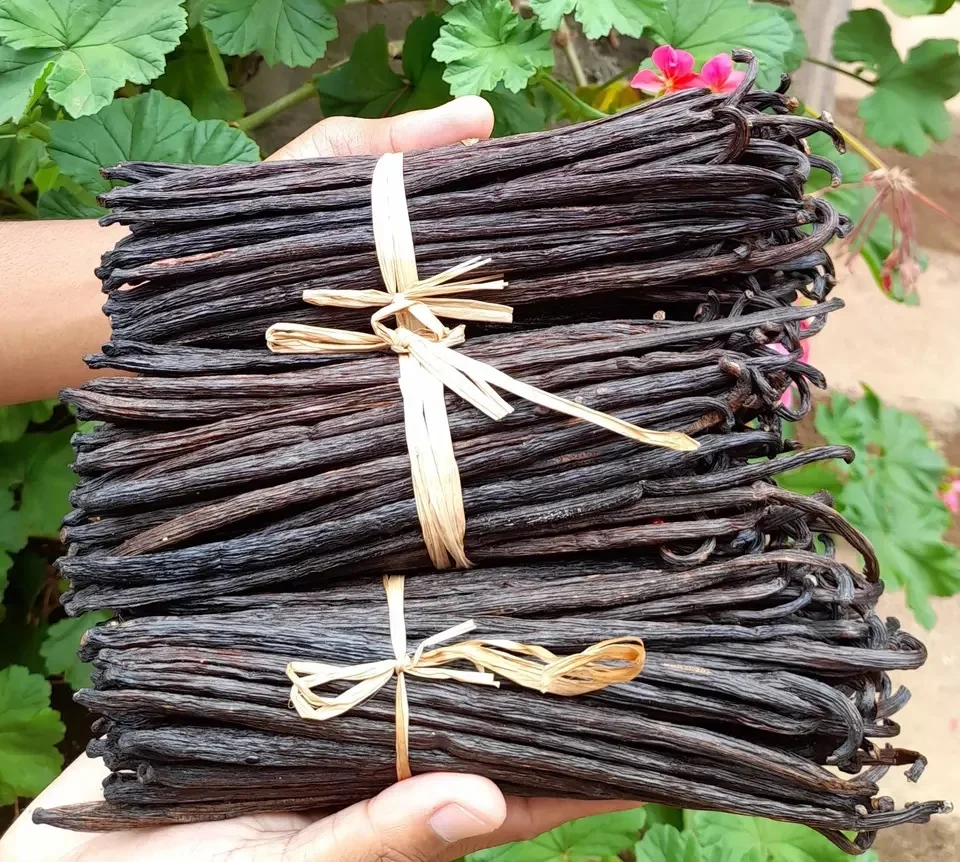 Bulk Madagascar vanilla beans for sale at best price