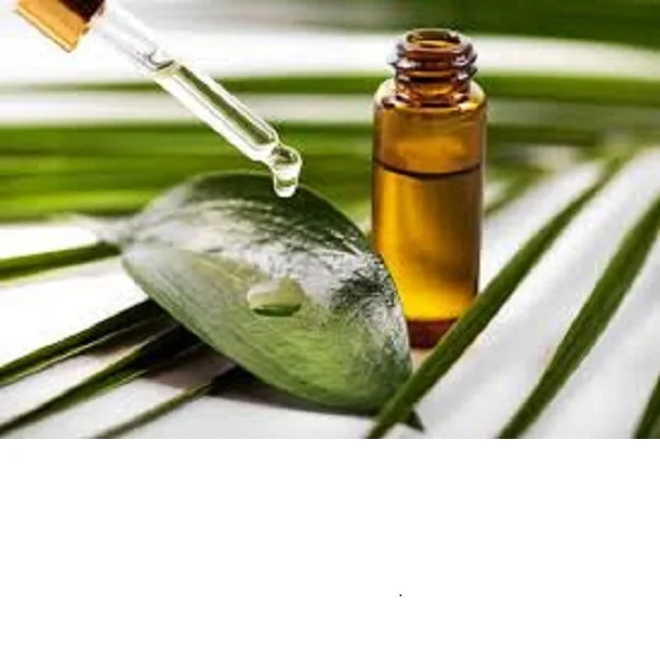100% Pure Eucalyptus Essential Oil at Wholesale Price  From India