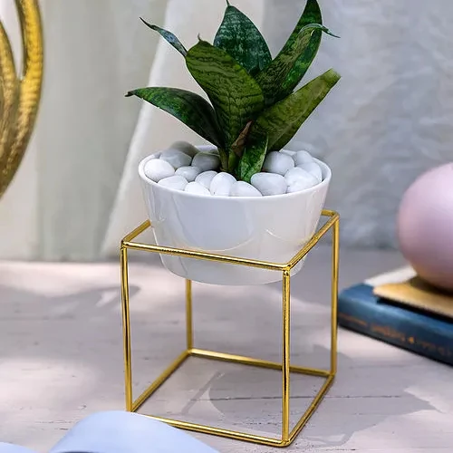 2022 Best Quality Tree Planters Indian Customized Wholesale Stylish Home Decor Flower Pots And Planters