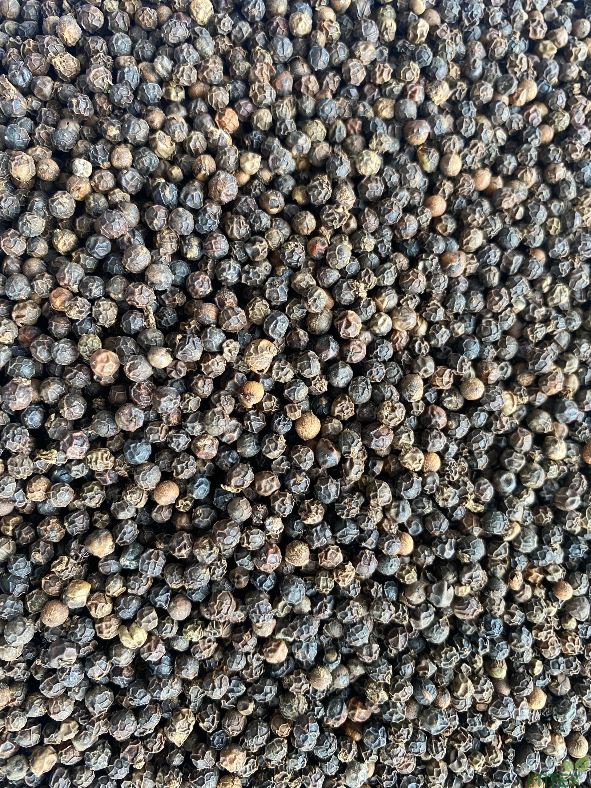 Black Pepper 550 Gr/L Good Supplier From Vietnam