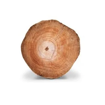 100% Pure Timber Logs Teak Wood / Oak Wood Logs / Pine Wood Logs Good Quality Best Selling