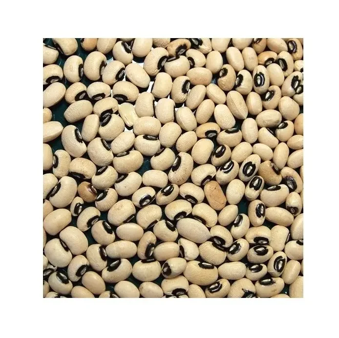 Solid Natural Black Eye White Beans Cowpea Beans Organic Black Eye White Beans for Sale