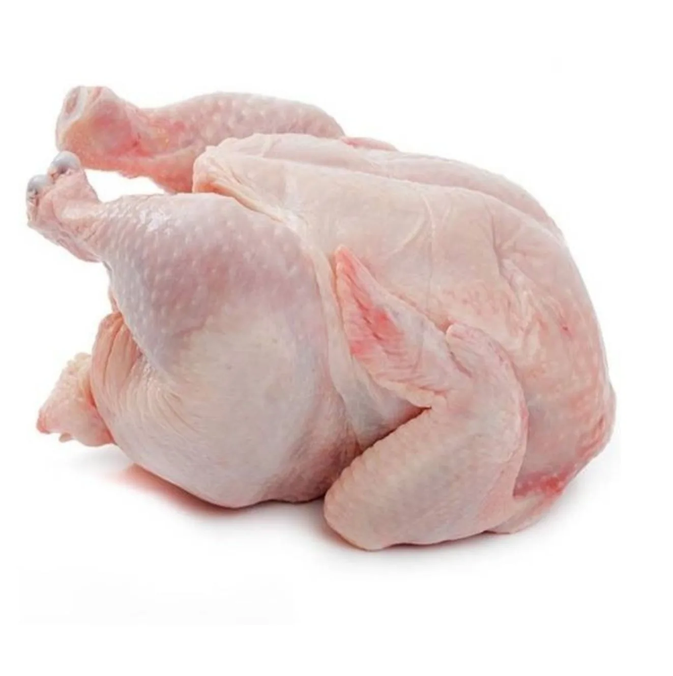Brazil Halal Frozen Whole Chicken Frozen Chicken Paws Frozen Processed Chicken Feet