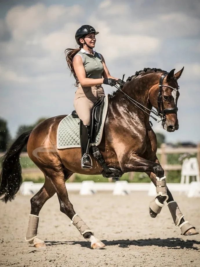 Новое поступление, детские розовые ботинки для чистки лошадей, обувь для защиты лошадей, магазин конного спорта, товары для продажи, товары на заказ