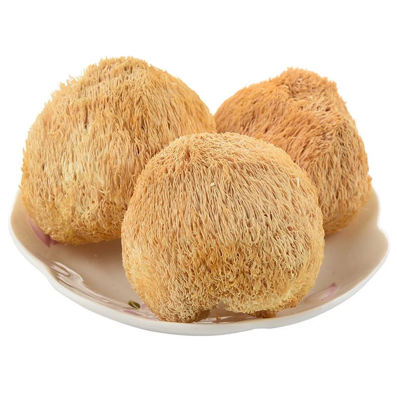 Artificially Cultivated Raw Hericium  Erinaceus Mushroom Wholesale High Quality Dried Lion Mane Mushroom