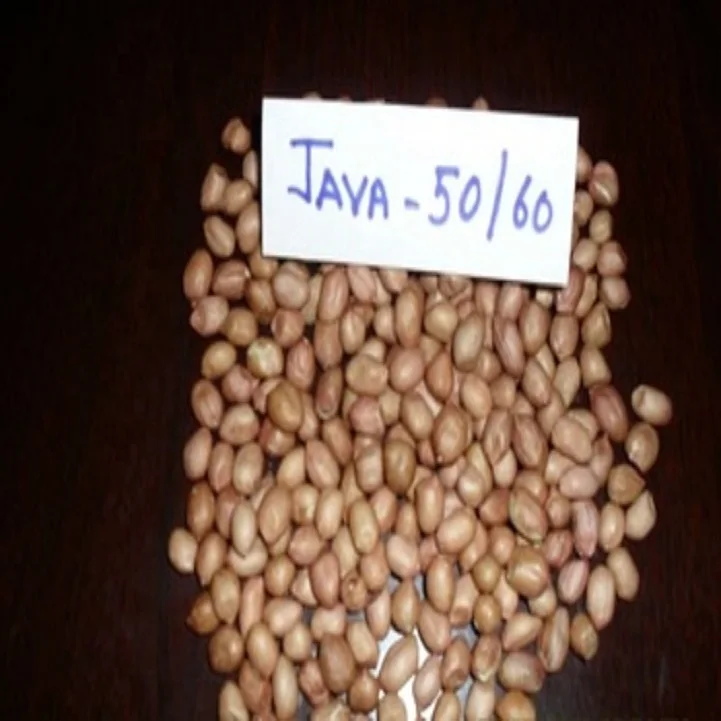 PEANUT JAVA 50  60   1.jpg