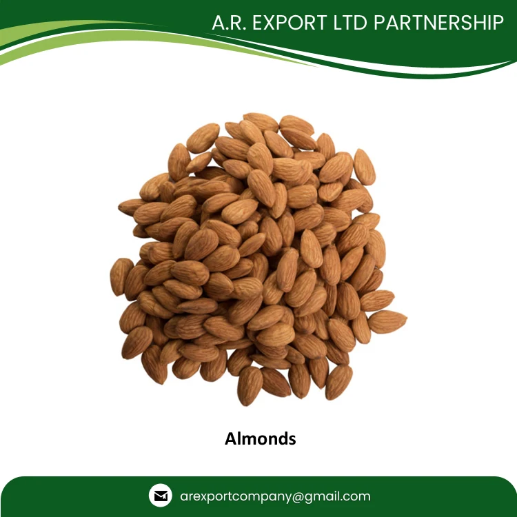Raw Almond Nuts Wholesale Exporter of Genuine Quality Grade A Fresh Raw Almonds Available in Bulk at Great Price