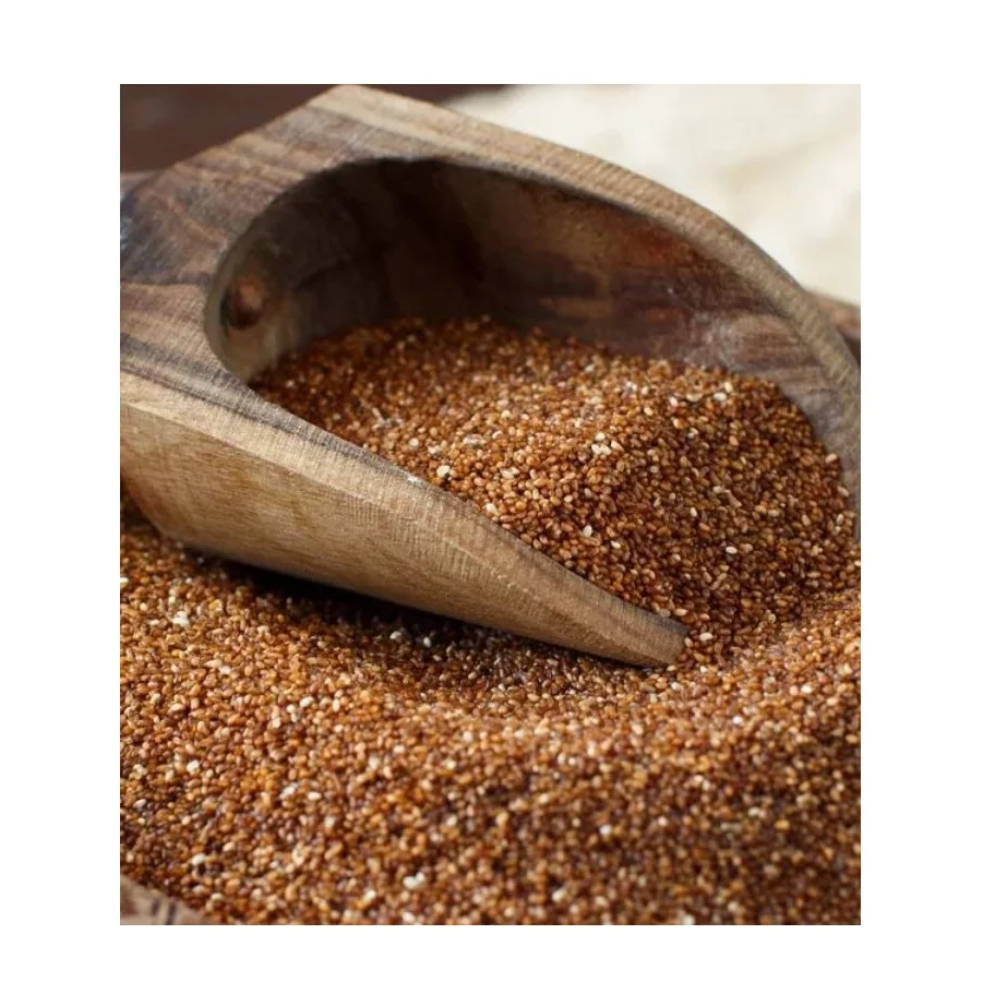 Cheap Price Organic Dried Grains With Fast Delivery Gluten free Brown Teff grains Best Quality TEFF GRAIN