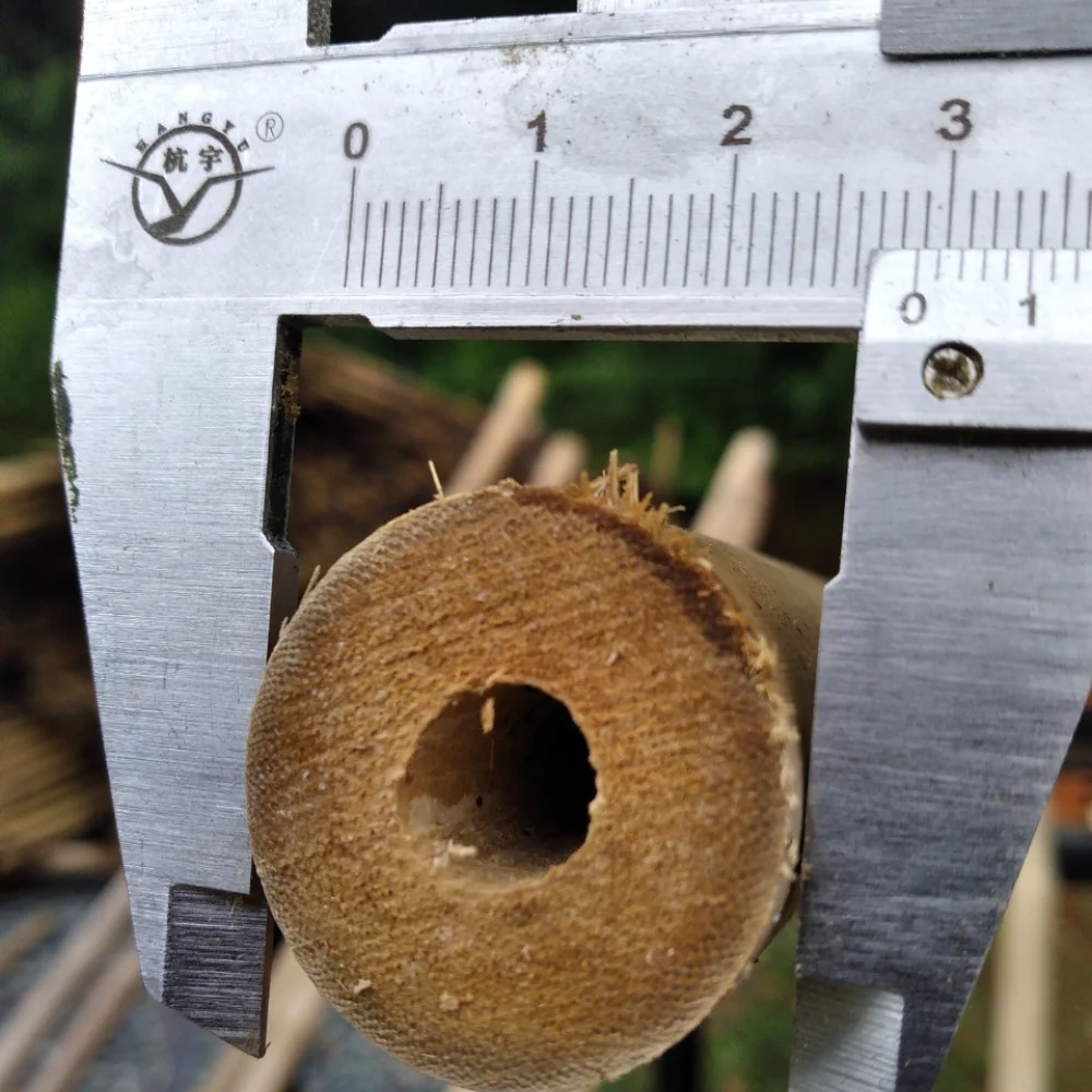 Large Bamboo Poles Trading In Bulk Solid Moso Bamboo For Decor And Construction Packed In Bundles Vietnam Manufacturer