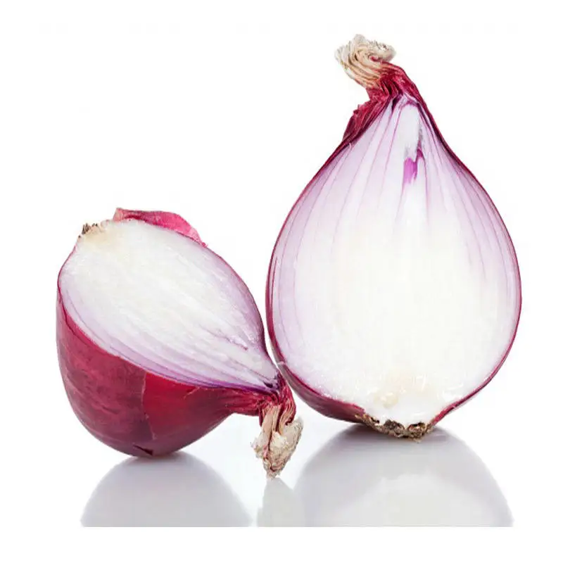 Wholesale Fresh oignons Shallot Peeled Onion Red Yellow White Organic Onion