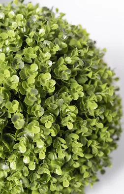 Xunmengyuan Direct Selling Hot Sale Pe Artificial Spring Green Eucalyptus Ball- 30cm for Indoor, Front Porch, Office Decor