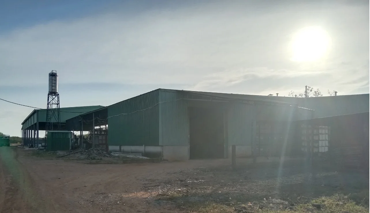 Вьетнамское приложение SSR Для шин по лучшей цене, высококачественное сырье из натурального каучука с завода во Вьетнаме, желтый