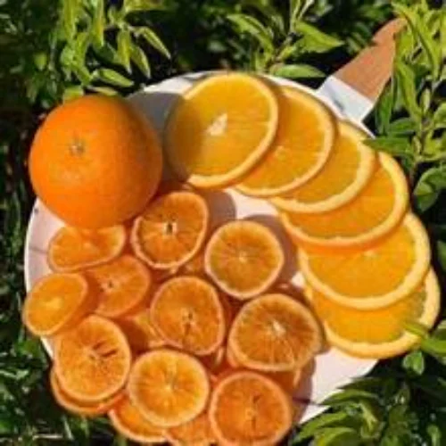 Orange slices & whole oranges Bulk Buy Dried Orange slices for Christmas Wreath and tree decorations