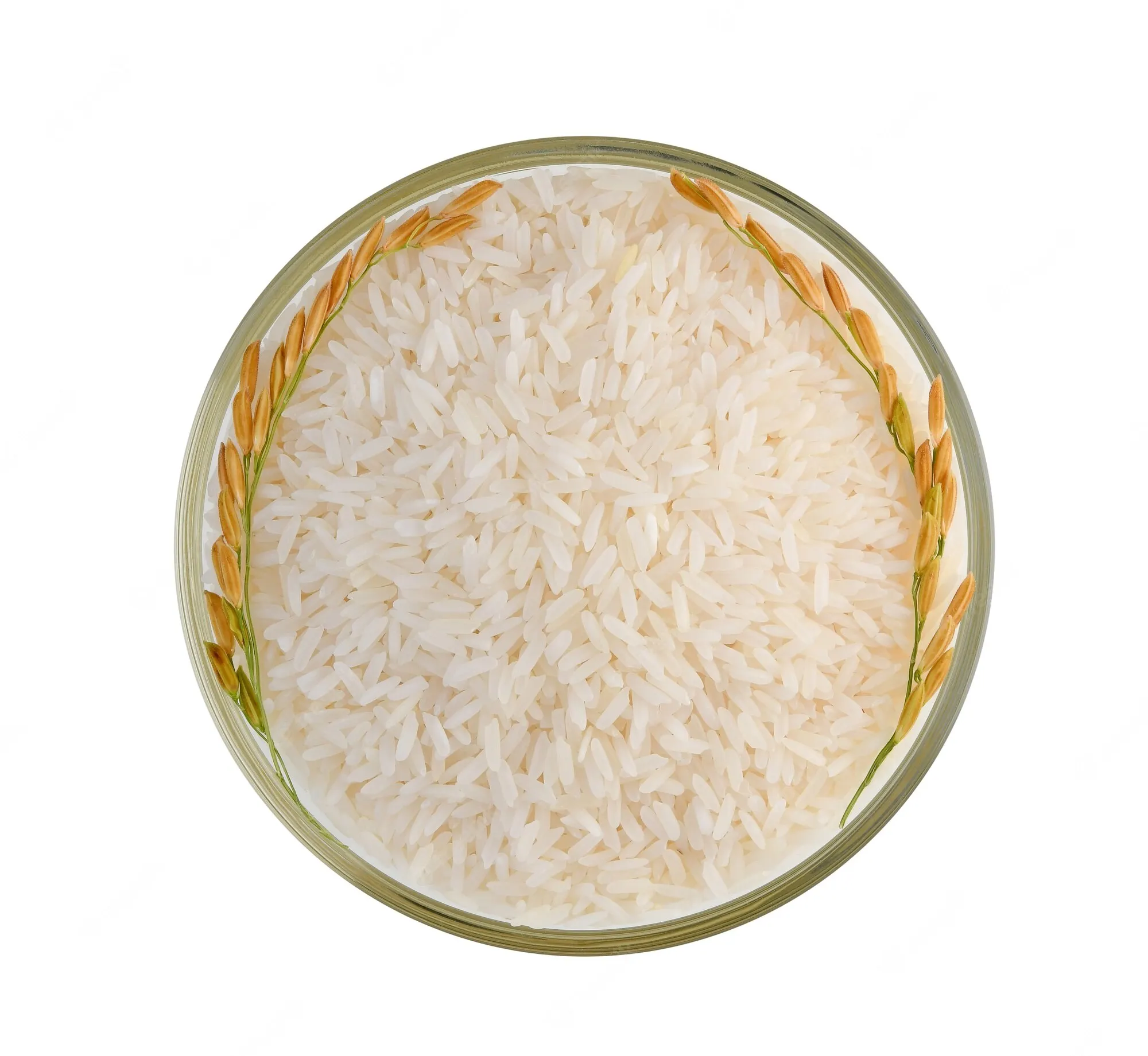 Wholesale Supplier White Long Grains Jasmine Rice / Aromatic Thai Jasmine Rice Cheap Best Factory Price