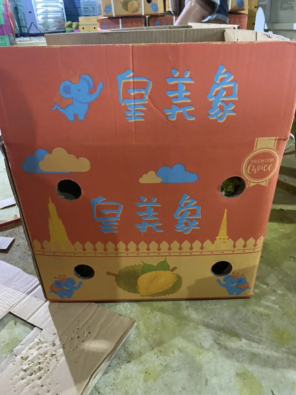 VietNam Packing Box 6-9 Fruist Fast Delivery Best Premium Quality Ri6 Thai 1 Durian Fresh Delicious Export VietNam Manufacture