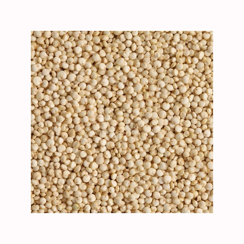 Organic Quinoa Grain Seeds QUINOA Seed For Sale from PERU BEST QUALITY ORGANIC WHITE