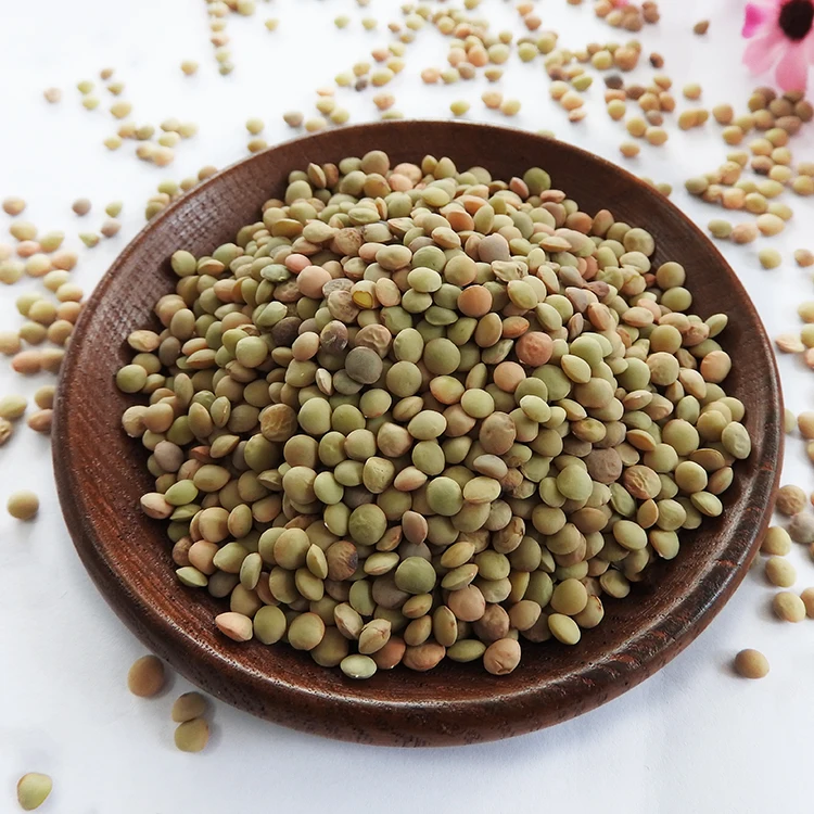 Novelty Green Lentils Dried Red Wholesale Bulk Packaging Food Use Less Than 3.5% Grain Impurities Worldwide