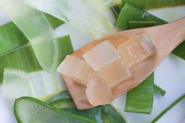 Вкусное Желе Алоэ Вера желе из мяса сделанное 100% свежего оптовая цена