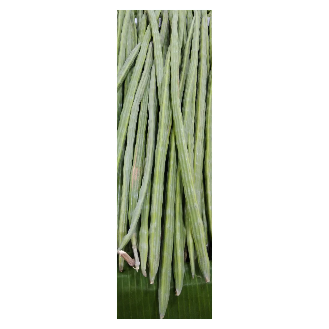 Okra Fresh Lady Finger Gumbo Okra Whole Okra Vegetable Cut in Frozen Vegetables with Good Price High Quality Fresh Drumstick