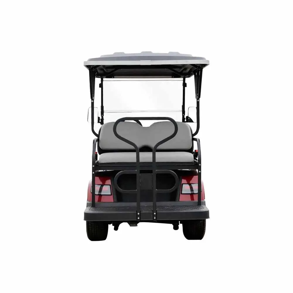 Independent Suspension Aluminum Frame Aluminum Pedal Electric Golf Cart With Professional Meter For Sale
