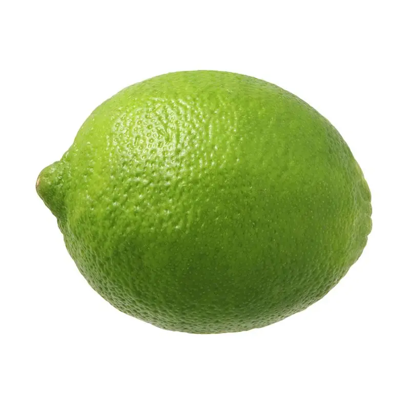 Best Grade Fresh Lemon / Fresh Lime in Bulk Competitive Price Wholesale