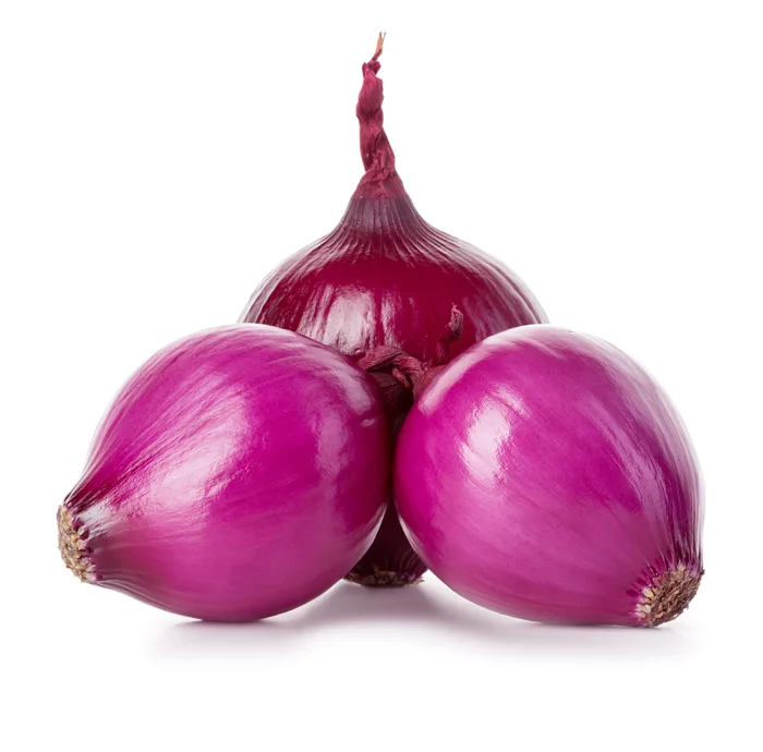 Best Quality Wholesale cheap Price Fresh Red Onion suppliers on red onion