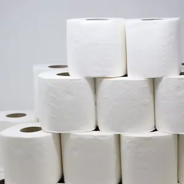 Double Ply Toilet Tissue