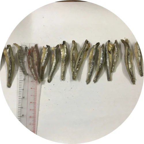 HOT SALE DRY ANCHOVY WITH HIGH STANDARD FROM VIET NAM