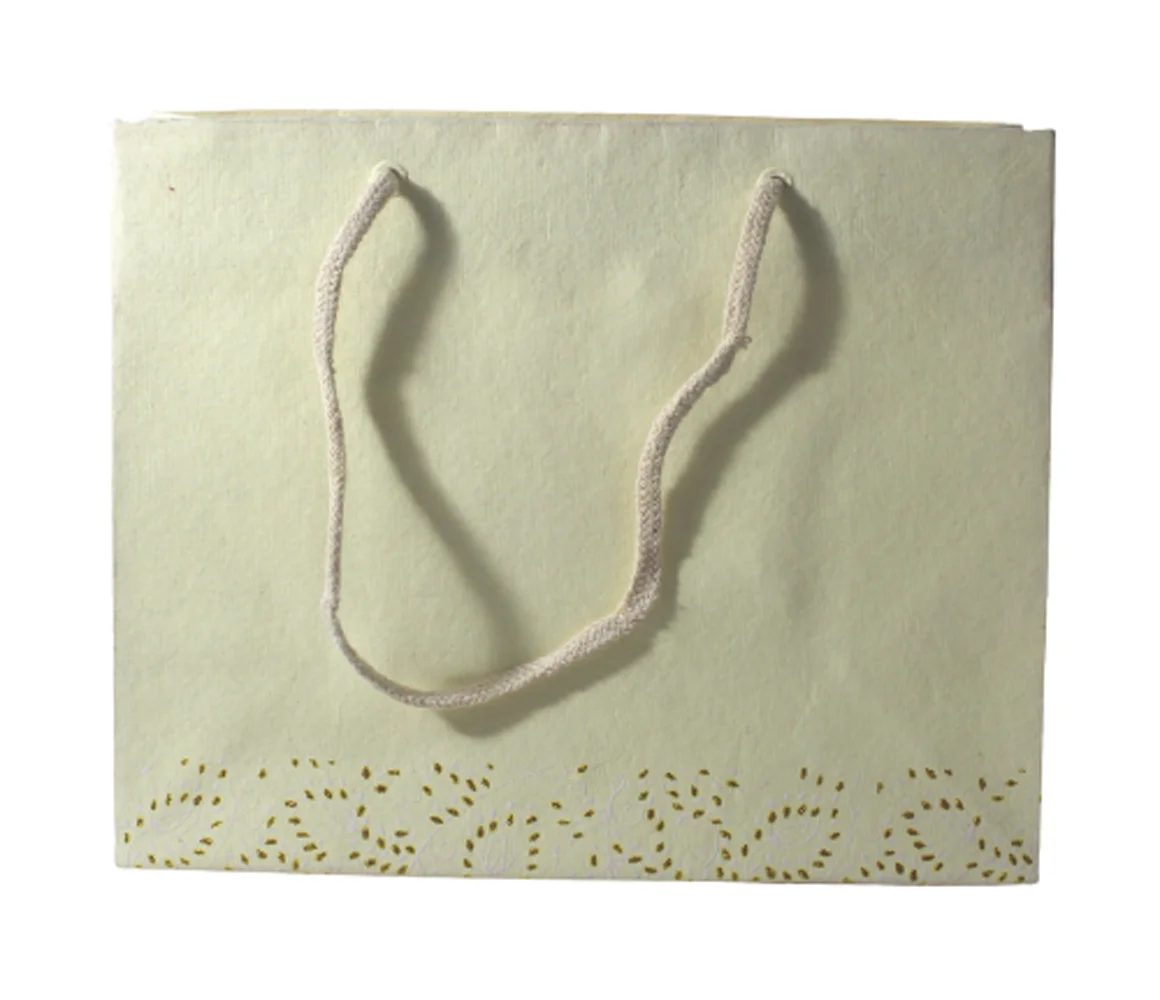 Recycled Cotton Handmade Paper Given Glitter Print All Over Bottom While Plain Matching Paper With Matching Cotton Strings Bag