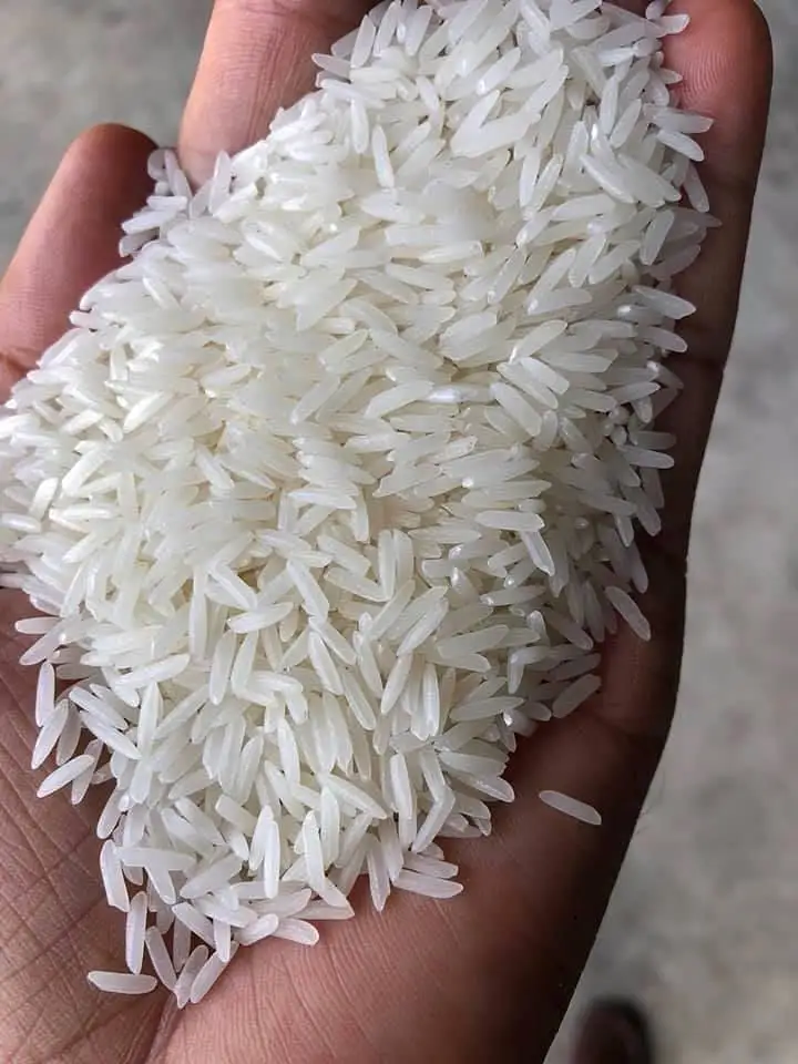 Hot Sale Long Grain 5% Broken Rice Jasmine Rice 25kg Package Homali Rice For Sale- Riz - Arroz Whatsap 0084 989 322 607