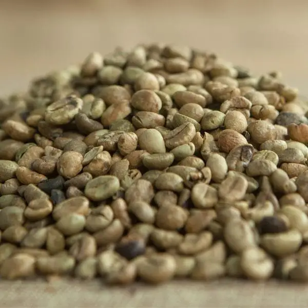 Highest Grade New Crop Harvest Vietnam Certificated Product Organic Clean Natural Robusta Screen 18 Coffee