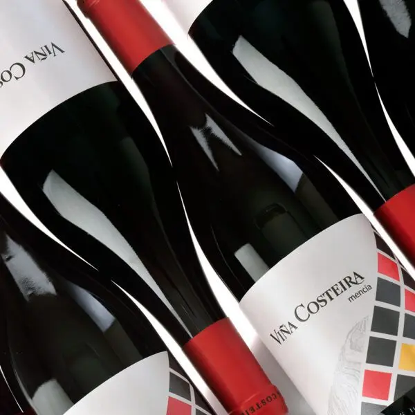 High Quality Red Wine from Spain | Brand Vina Costeira Mencia 2021 | DO Valdeorras | 750ml glass bottle