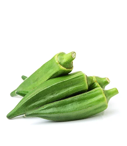 Свежая овощная обработка Okra, поставка пищевых продуктов, свежая оптовая цена Okra для оптовой продажи