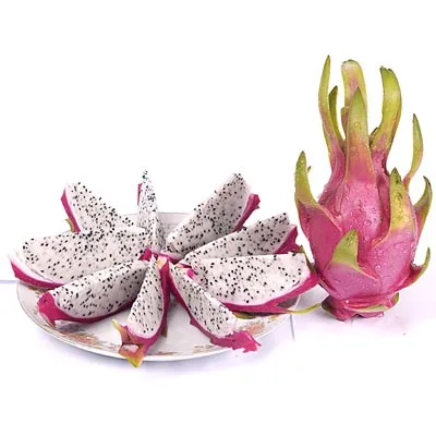 Фрукт дракона/оптовое количество экспорт/Вьетнам/Высокое качество