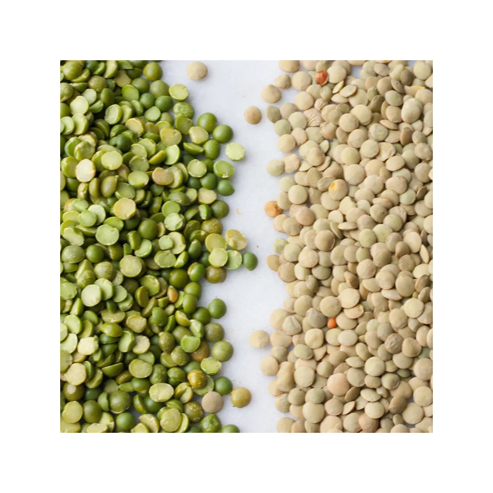 Lentils Beans Suppliers for Sale