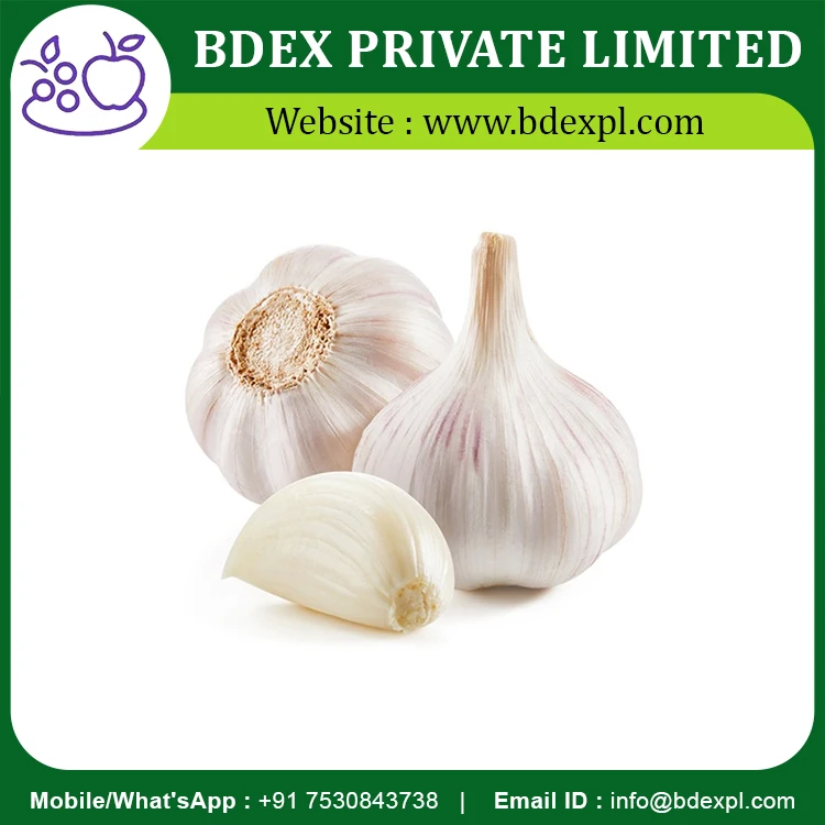Best Selling Garlic Available At Wholesale Price From Indian Supplier