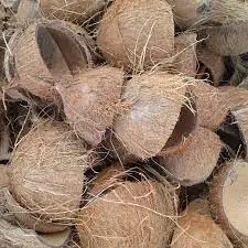 coconut shell  carbonized coconut shell natural coconut shell