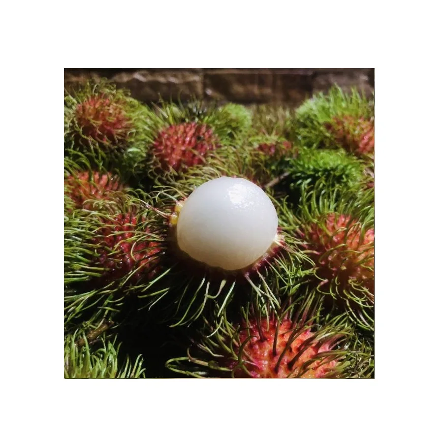 Rambutan Fruits Fresh Sweet Tasty 100% Natural Rambutan From from Thailand Farms Premium Quality Grade A