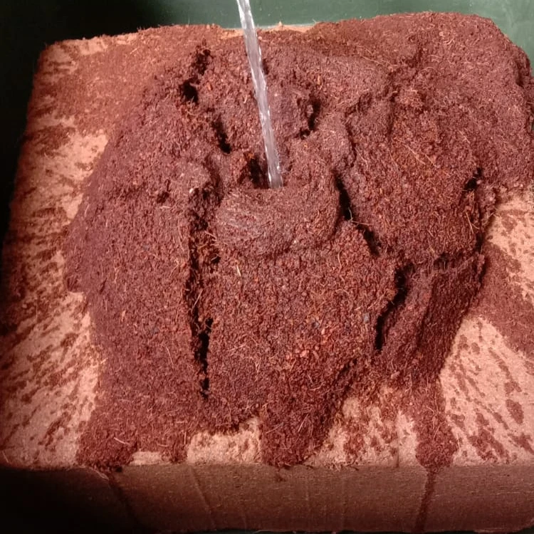 BEST QUALITY COCOPEAT BLOCK 5KG PRODUCT LOW EC BEST BRICKS FOR HEALTH PLANTS AND FLOWERS