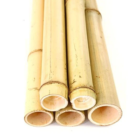 Bamboo Raw Material Bamboo Poles/ Bamboo Poles Construction From Eco2go Vietnam