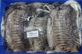 Altawakal Frozen Foods Hot Selling Frozen Cuttlefish Delicious Nutritious Top Quality For Export from Pakistan