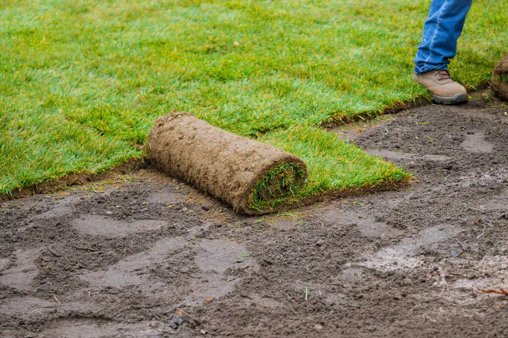 Evergreen Ecograss Turf Grassscape Lawn Grass Truf-Garden Ornament