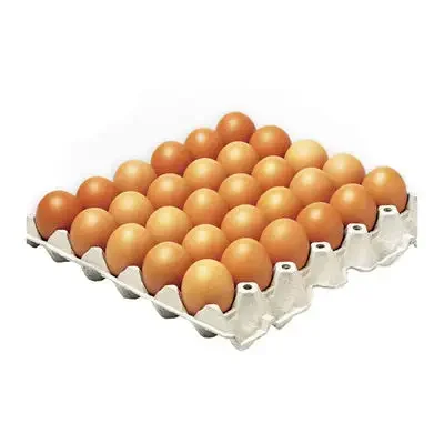 Quality fertilized Fresh Brown Table Chicken Eggs Cheap Fresh Chicken Table Eggs Fresh Chicken in Bulk