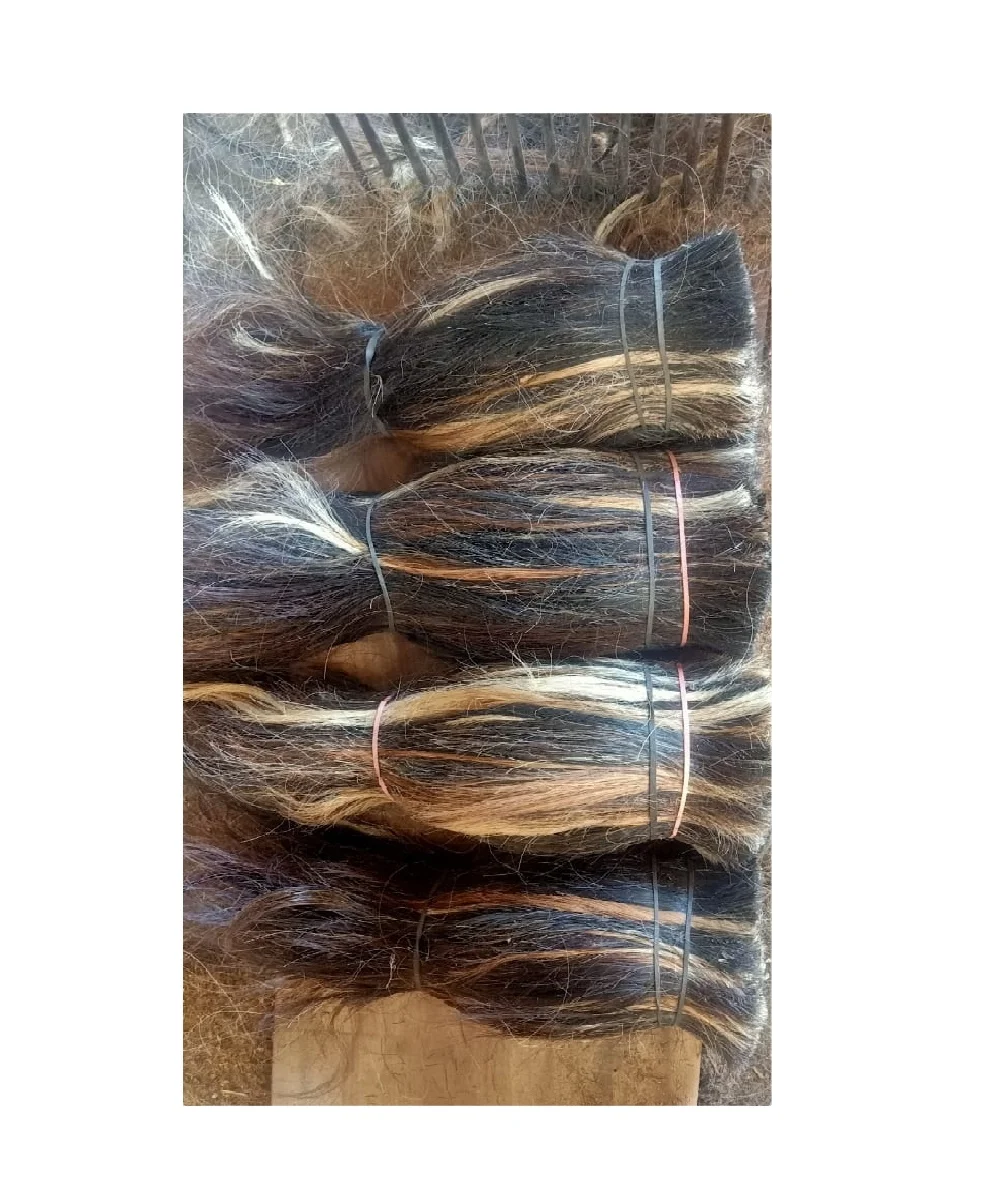 Washed double drawn horse mane hair for paint 4yrs CN .Hebei and export Manufacturer of Cow Buffalo Tail Hair Natural Cattle