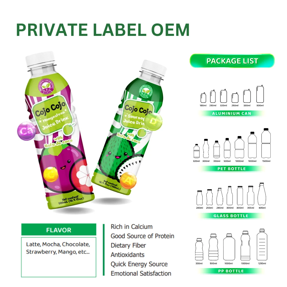 500ml Cojo Mangosteen Juice Drink with Nata De Coco Wholesale Beverage From Vietnam Private Label OEM