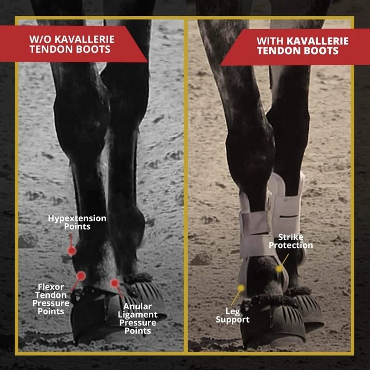 Защитные сапоги для верховой езды
