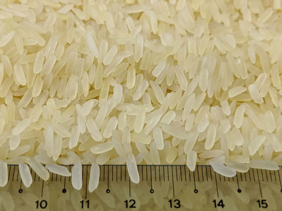 Parboiled Rice (long)...jpg