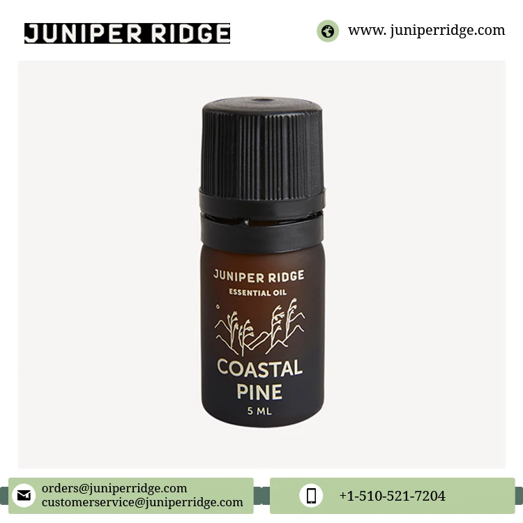 100% Pure and Organic Sticky Pine Scent Note Aromatherapy Coastal Pine Essential Oil -  5 ml from USA