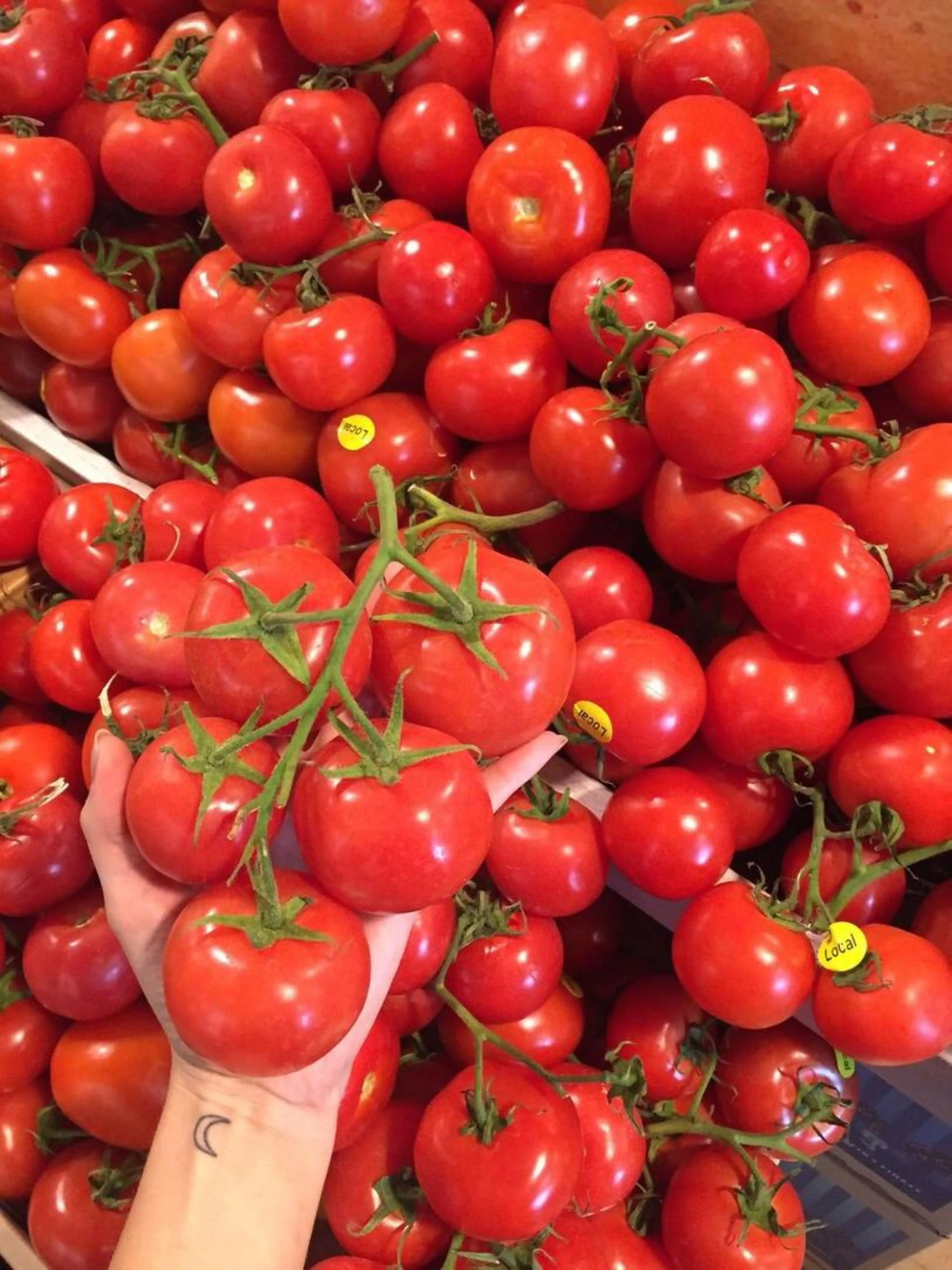 tomato2.jpg